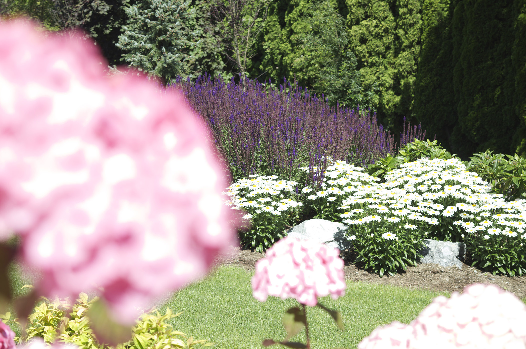 landscaping abbotsford